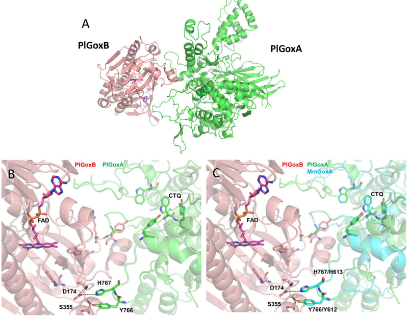 Figure 6.