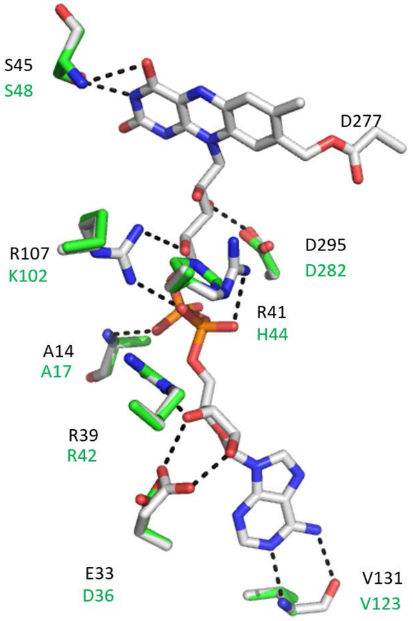 Figure 5.