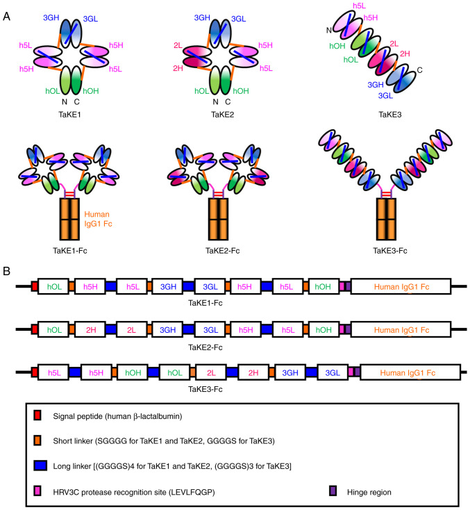 Figure 1.