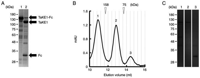 Figure 3.