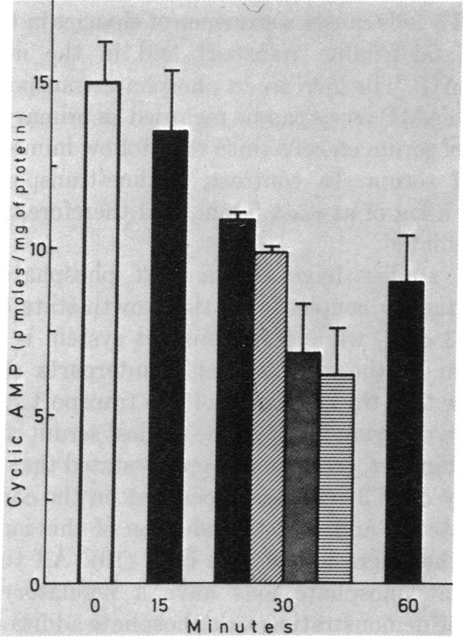 graphic file with name pnas00054-0103-a.jpg