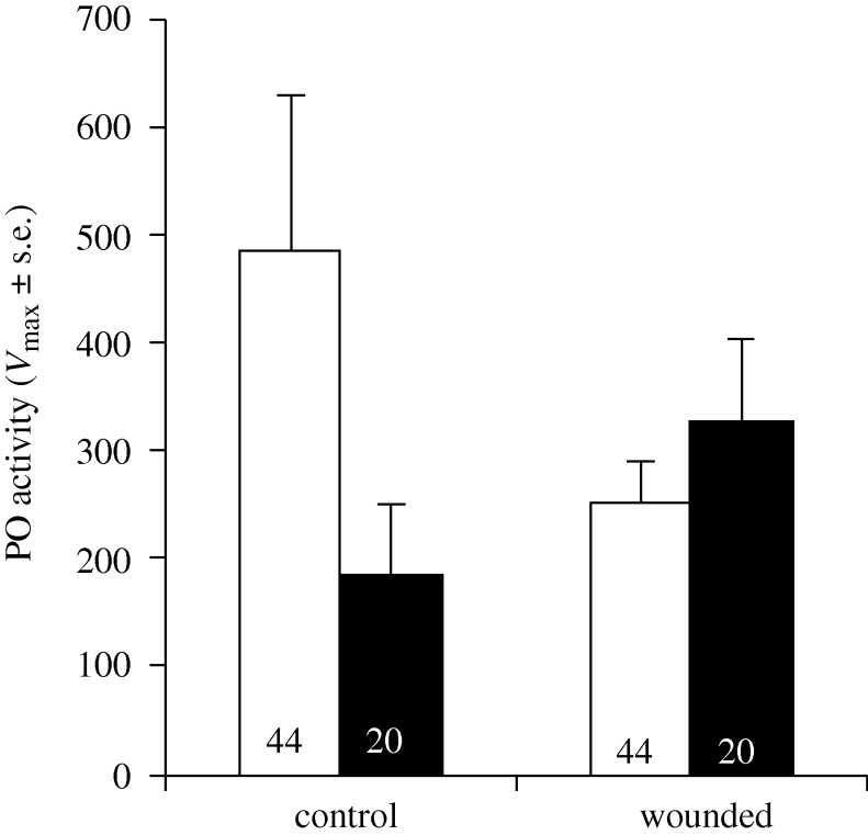 Figure 2.