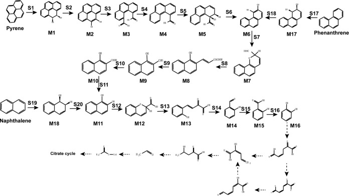 FIG 6