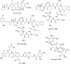Fig. 8