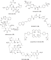 Fig. 6