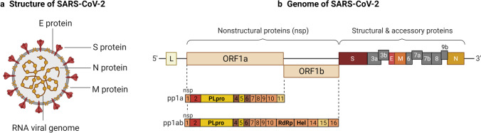 graphic file with name 12015_2021_10287_Fig1_HTML.jpg