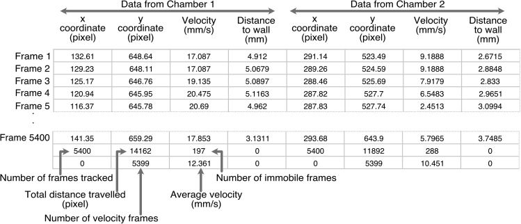 Figure 31