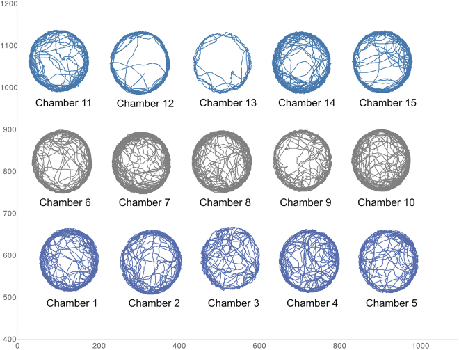 Figure 32