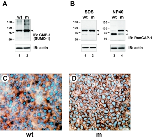 FIG. 8.