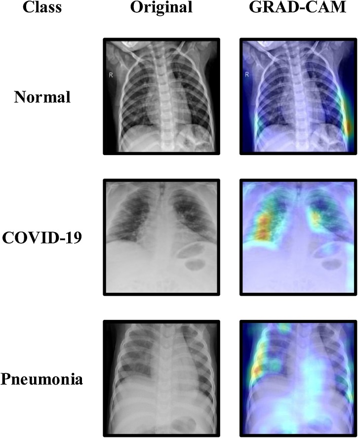 Fig. 10