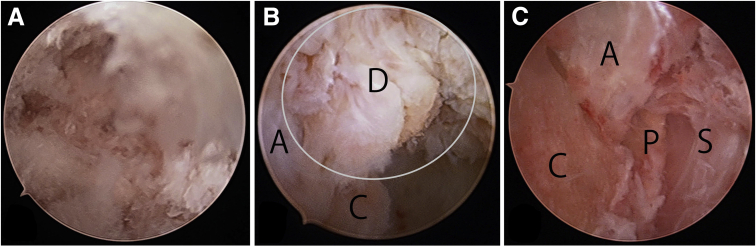 Fig 5