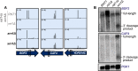 Figure 5: