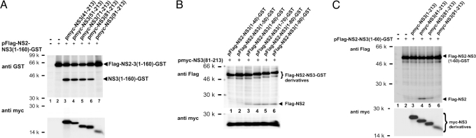 Fig. 5.