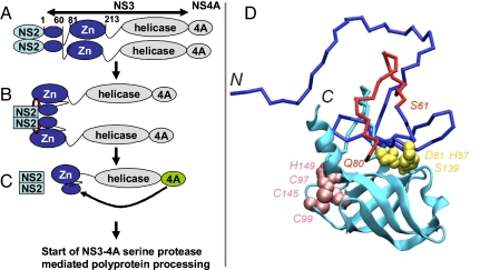 Fig. 7.