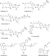 FIGURE 1.