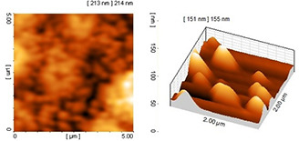 Fig. 11