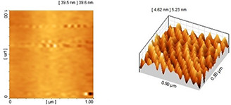 Fig. 10