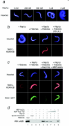 FIG. 4.