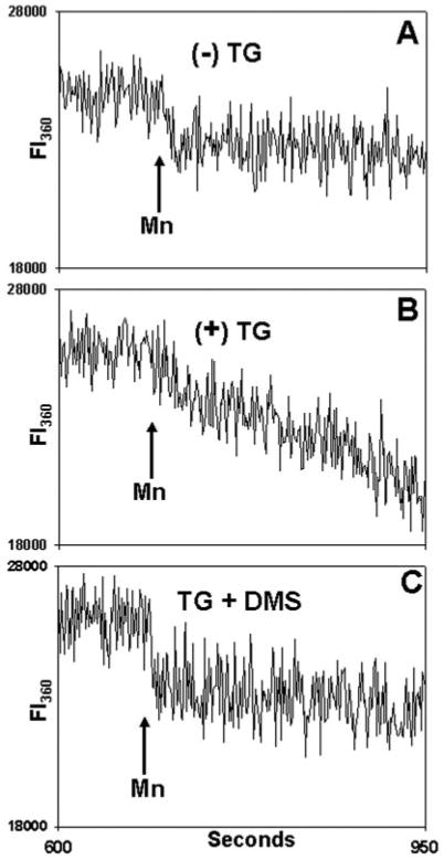 Fig. 12