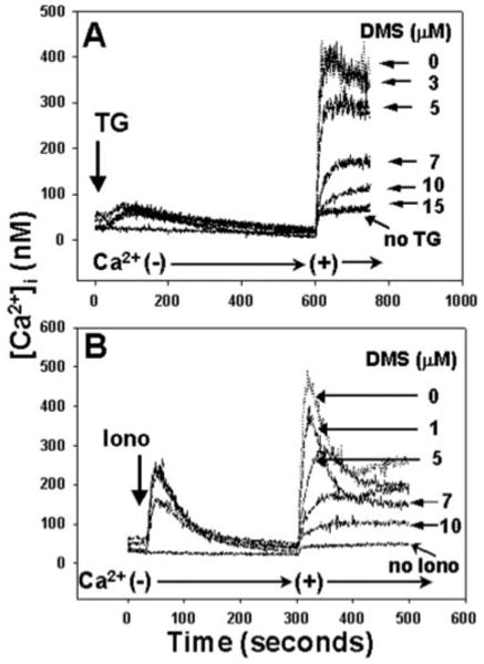 Fig. 10