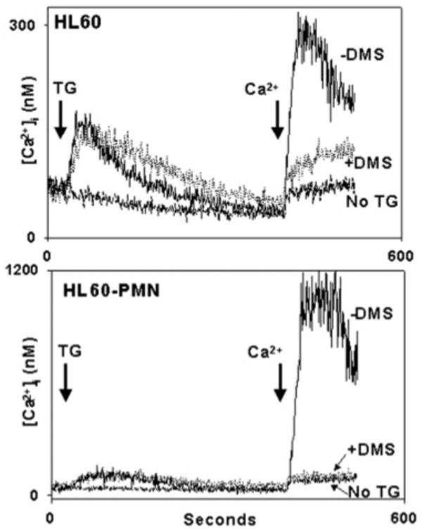 Fig. 11