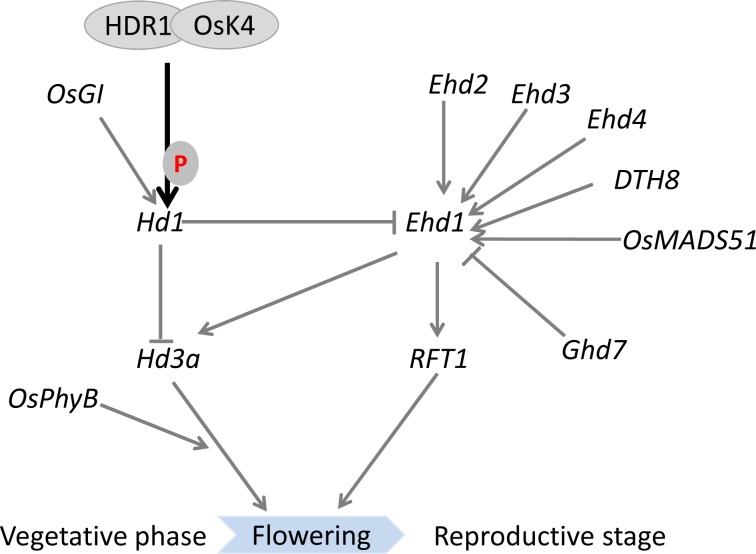 Fig 10