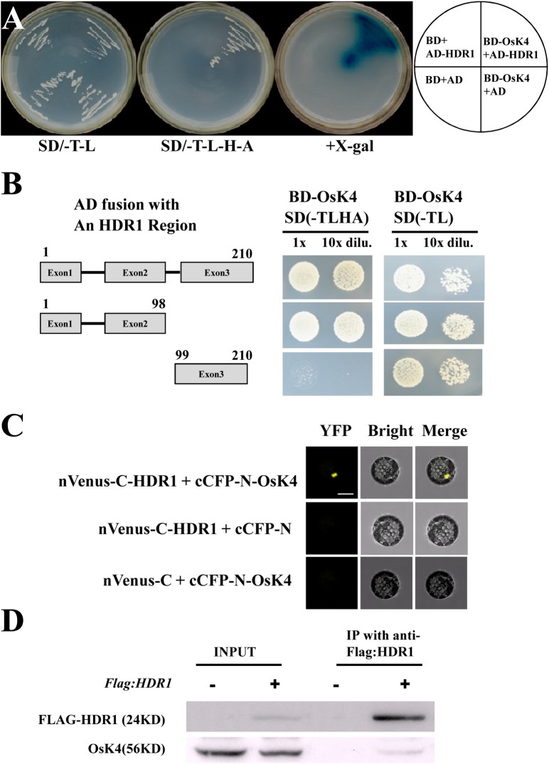 Fig 5