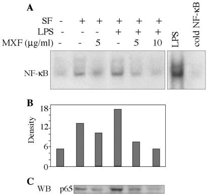 FIG. 5.