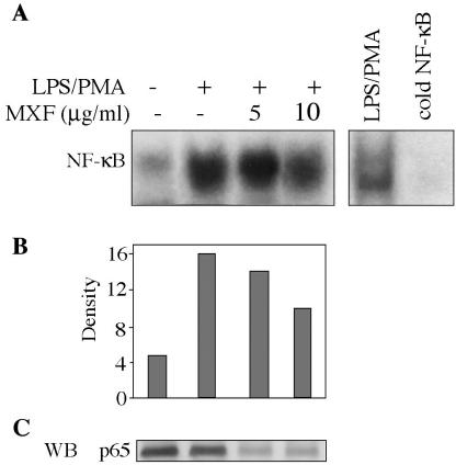 FIG. 6.