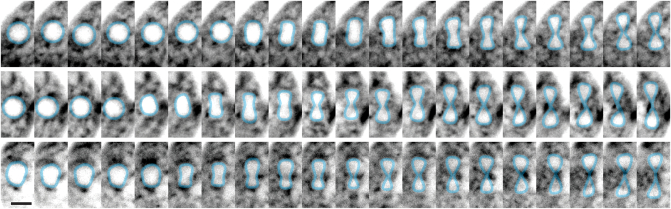 Extended Data Fig. 4