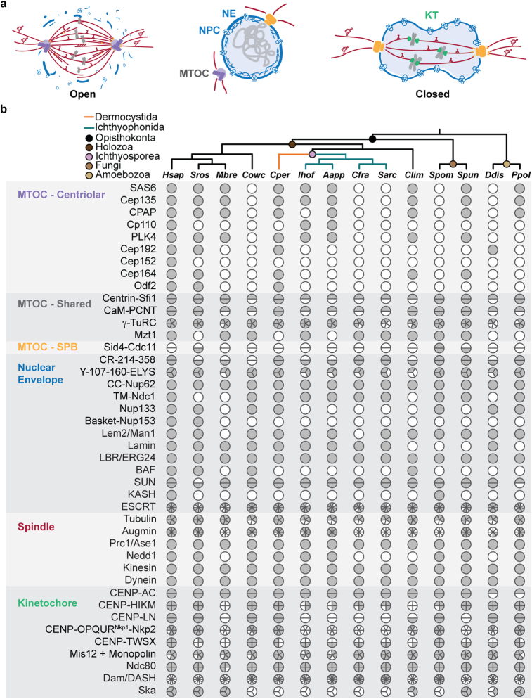 Extended Data Fig. 1