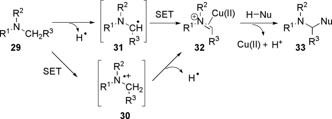 Scheme 9.