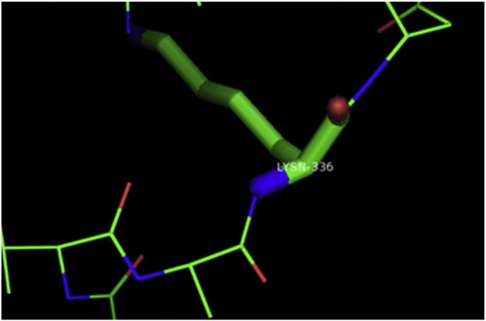 Supplementary Fig. 28