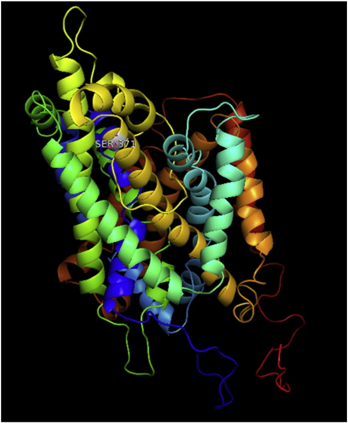 Supplementary Fig. 8