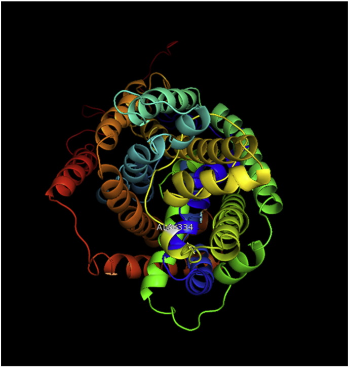 Supplementary Fig. 4