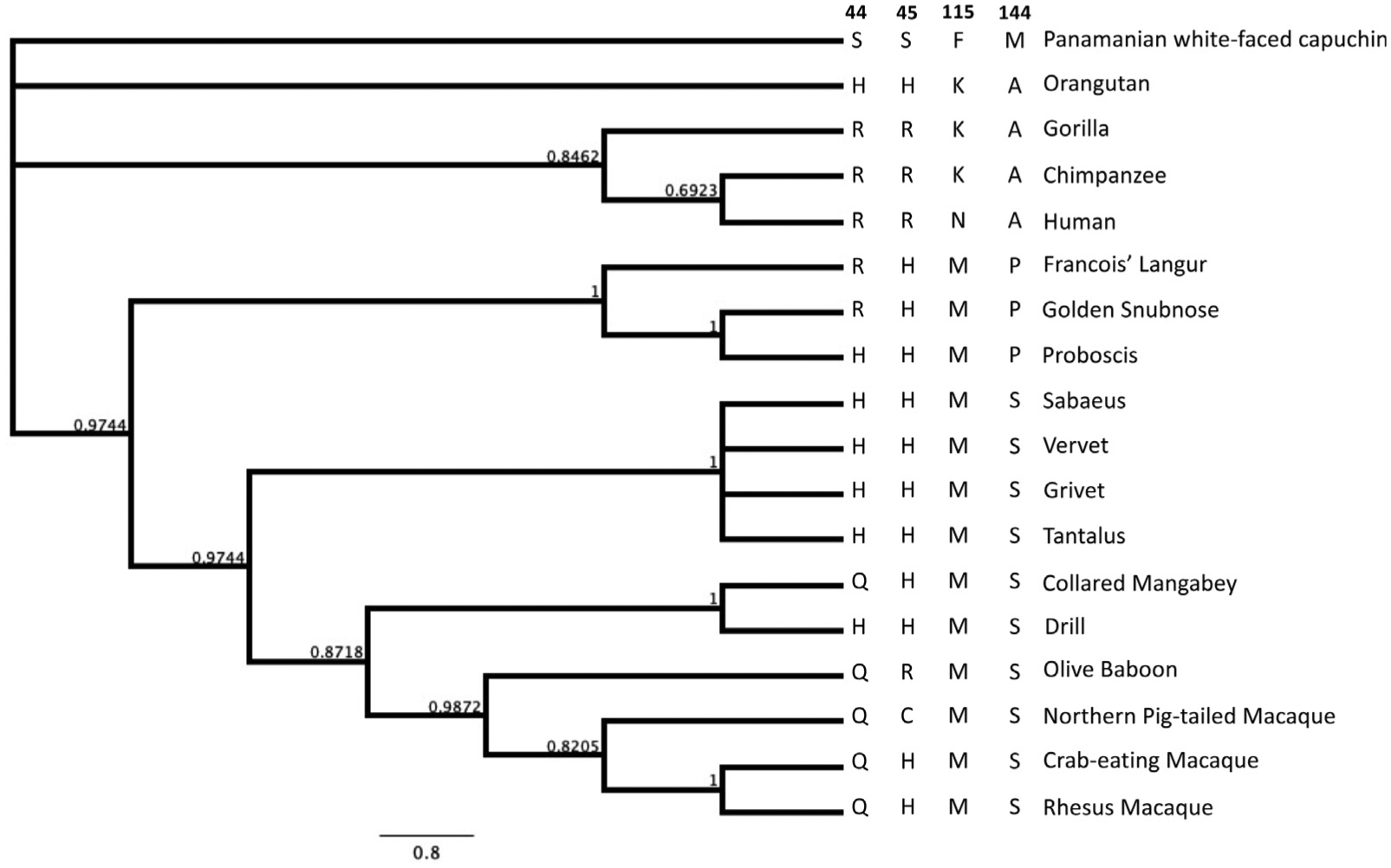 Figure 11.