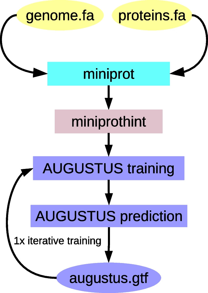 Fig. 1