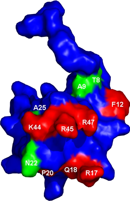 Fig. 5.