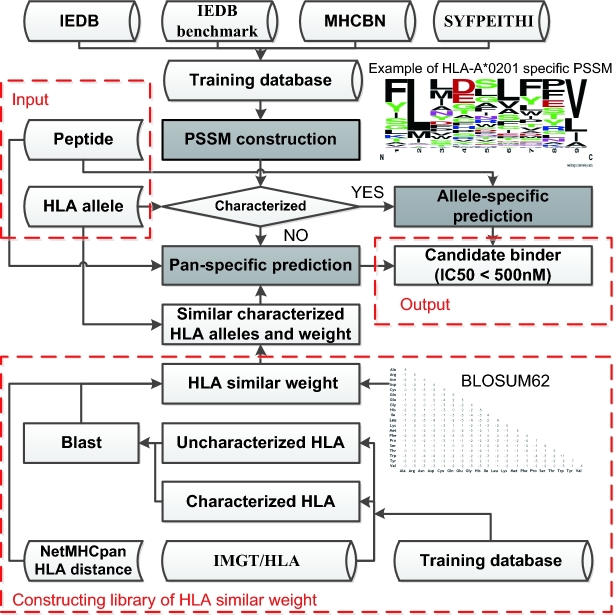 Figure 2: