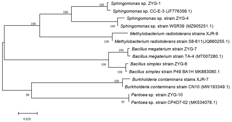 Figure 1