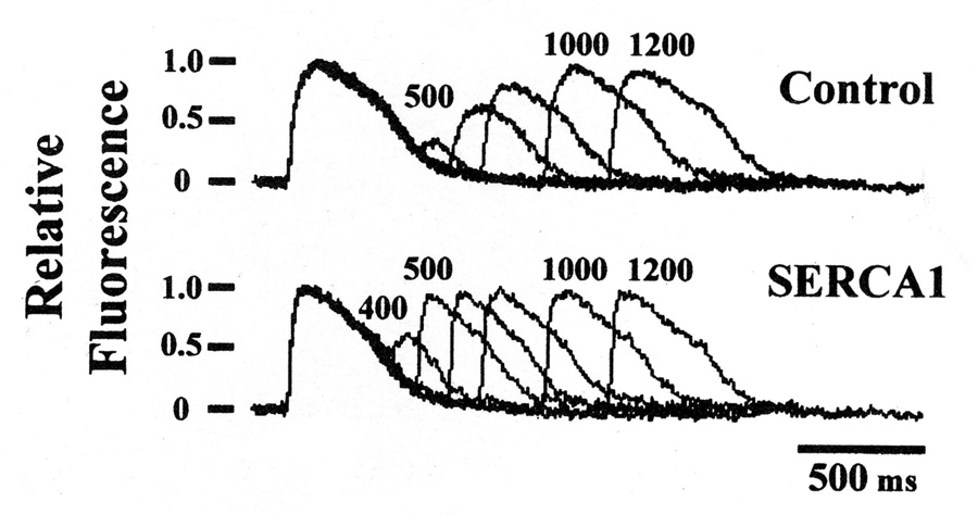 Fig 7