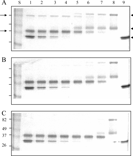 Fig. (5)