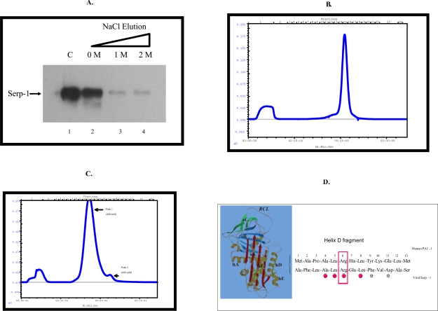 Fig. (1)