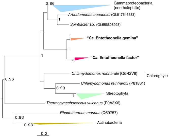 FIGURE 3