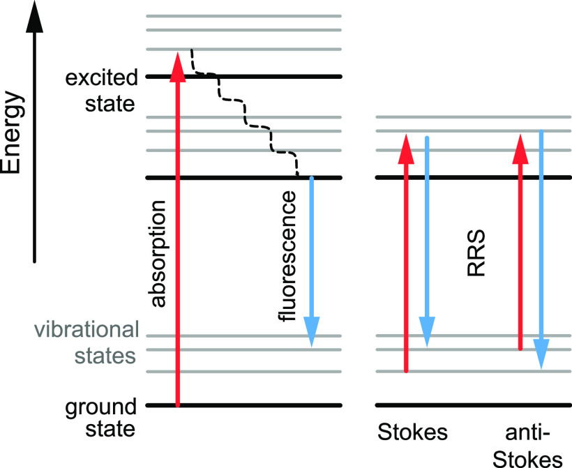 FIG. 19.