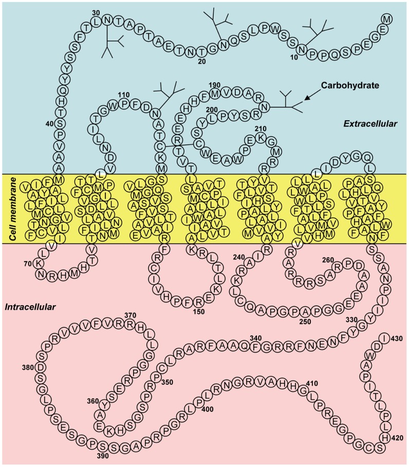 FIGURE 2