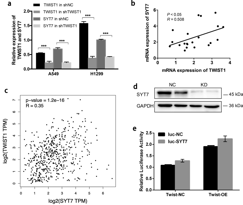 Supplementary Fig. 2