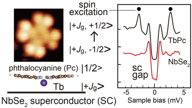 graphic file with name nn1c11221_0010.jpg