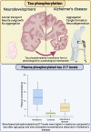 Graphical Abstract