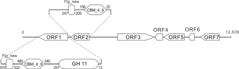 FIG. 1.